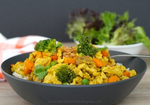 Everyday Meals - Curried Minced Chicken - Sparkles in the Everyday!